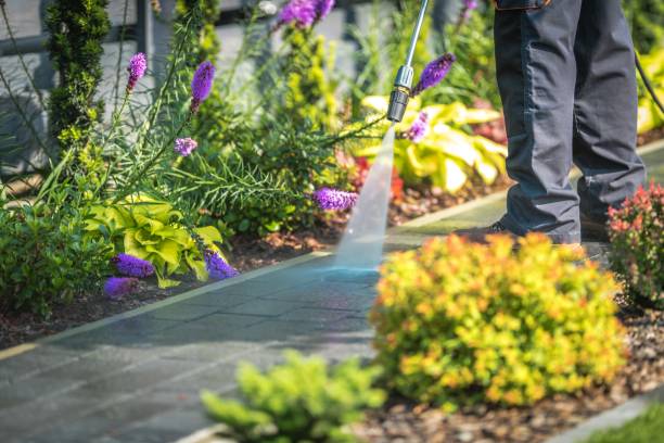Best Gutter Cleaning  in Dover, FL