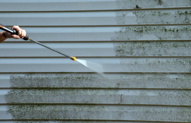 Best Patio and Deck Pressure Washing  in Dover, FL