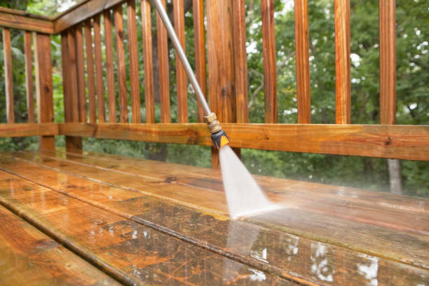Best Animal Enclosure Cleaning  in Dover, FL